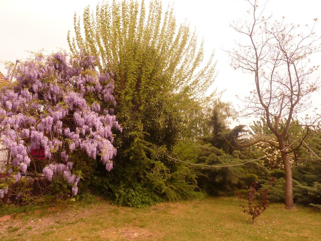 Dobo Tanya Villa Roszke Buitenkant foto