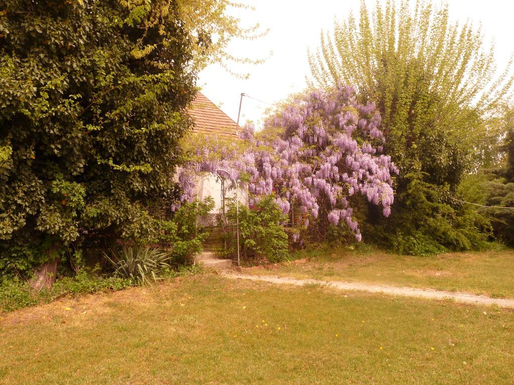 Dobo Tanya Villa Roszke Buitenkant foto