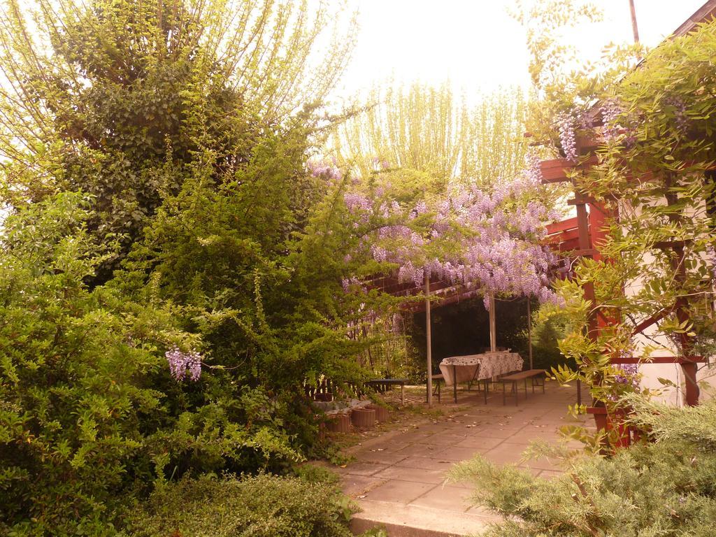 Dobo Tanya Villa Roszke Buitenkant foto