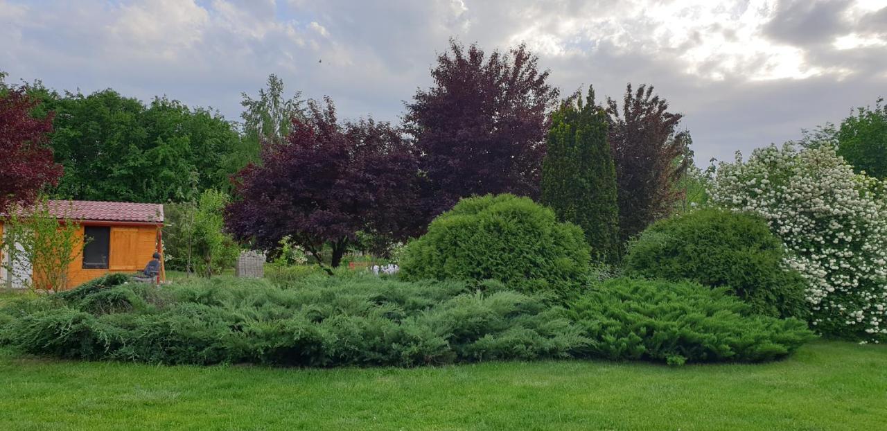 Dobo Tanya Villa Roszke Buitenkant foto
