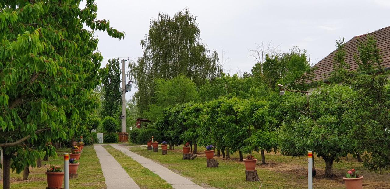 Dobo Tanya Villa Roszke Buitenkant foto