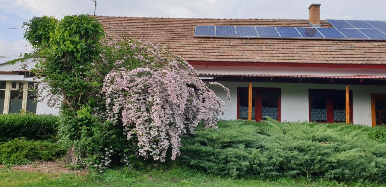 Dobo Tanya Villa Roszke Buitenkant foto