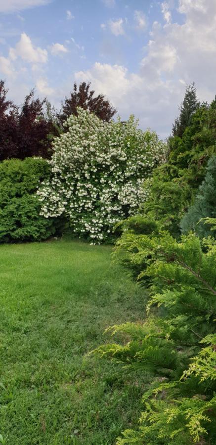 Dobo Tanya Villa Roszke Buitenkant foto