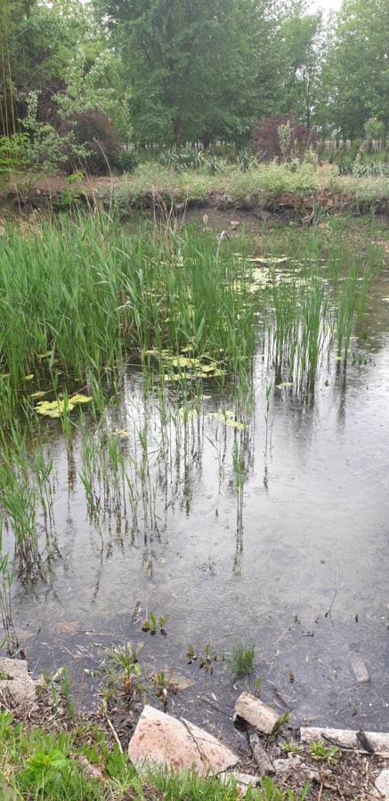Dobo Tanya Villa Roszke Buitenkant foto